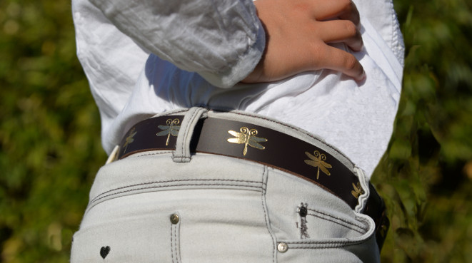 Foto 9 Marrón libelulas doadas