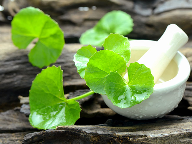 crema centella asiatica