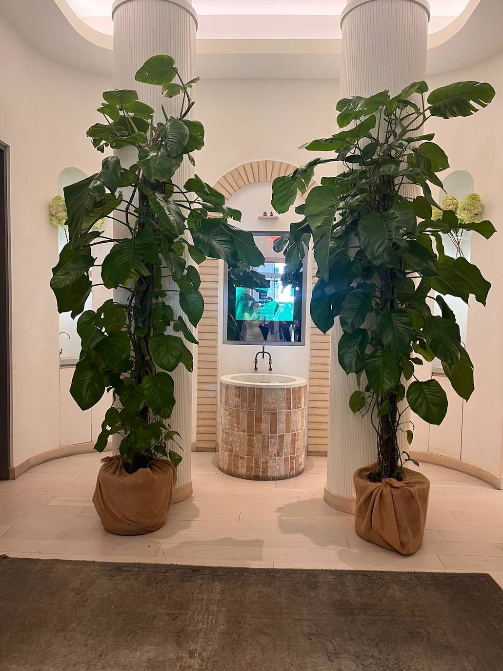 Lourdes Montes Nueya York