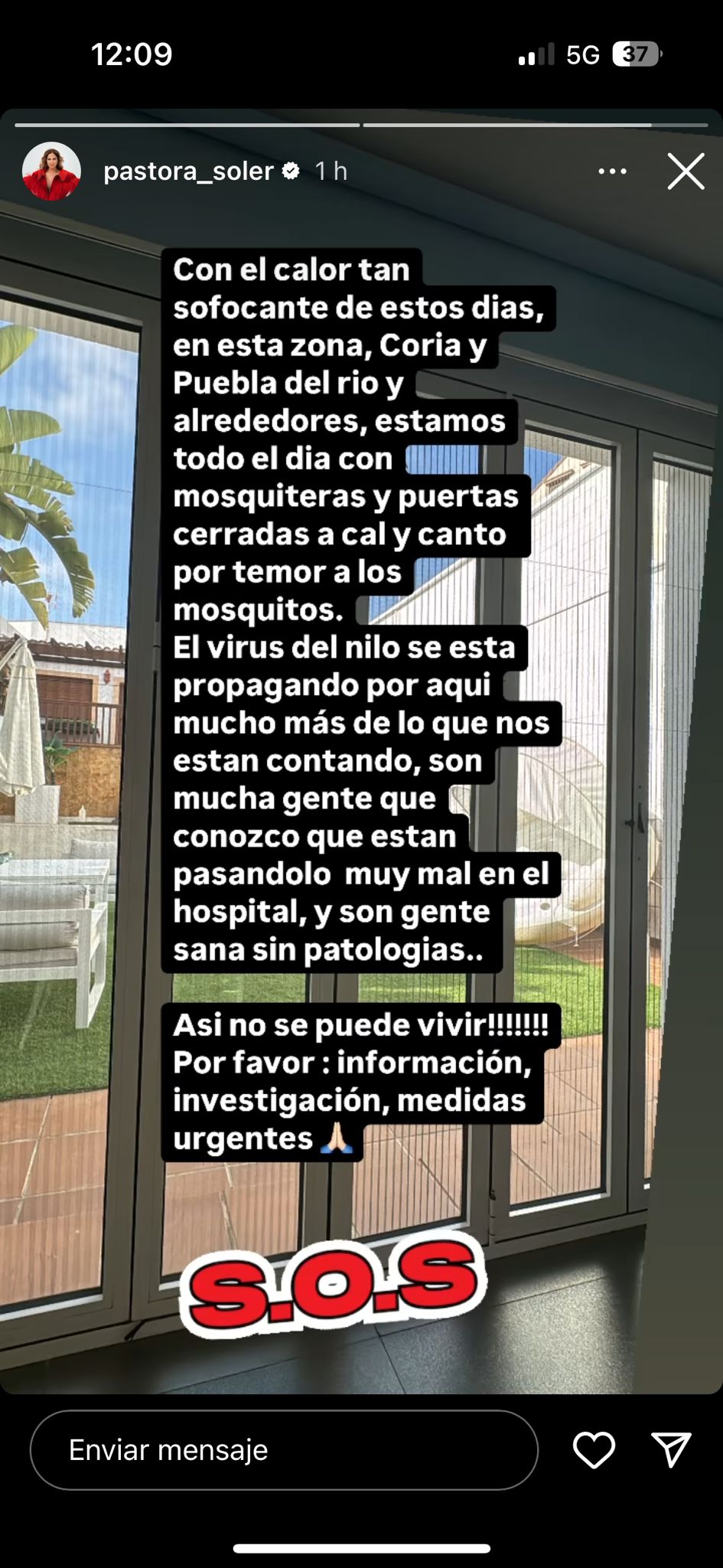 pastora soler mosquitos