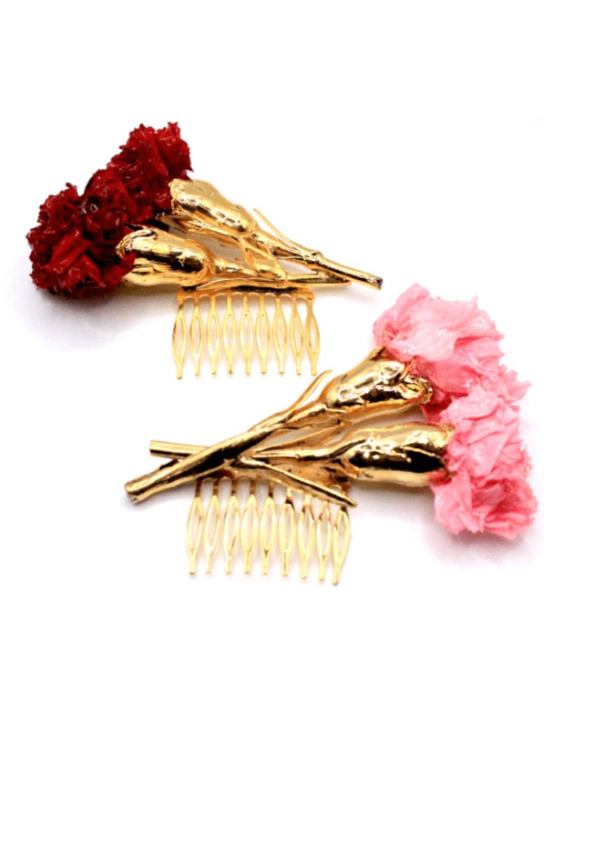 Claveles de Carmen Sánchez de Ventura