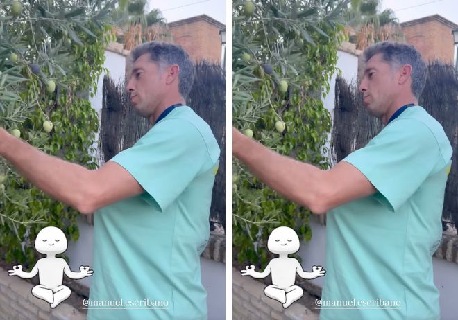 Manuel Escribano recogiendo aceitunas / IG: LAURA SÁNCHEZ