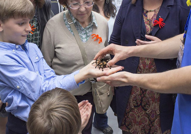 Planes para pasar el puente de mayo con los niños en Sevilla