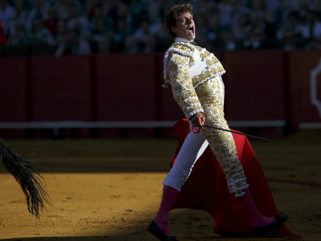 Paseíllo y pasarela de moda para Lama de Góngora