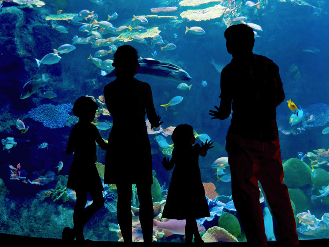 Planes culturales para disfrutar con los niños en Sevilla