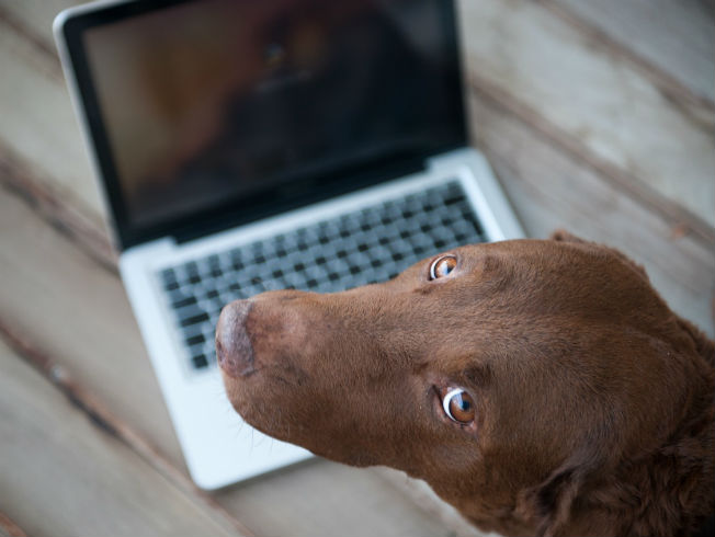 Cuando las nuevas tecnologías se alían en tu contra