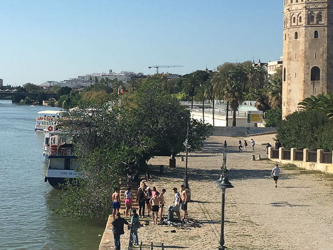 ¿Qué se ve cuando paseas por la orilla del Guadalquivir?