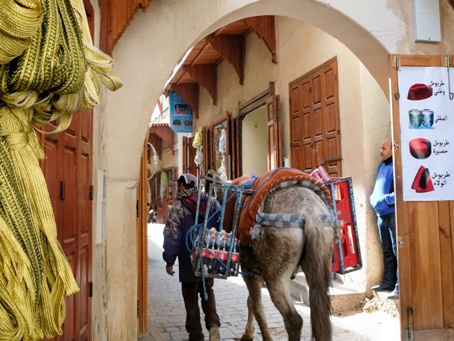 Claves para una aproximación a Fez