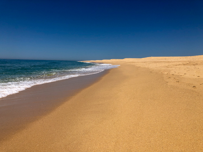 Isla Deserta, uno de los últimos paraísos a menos de dos horas de Sevilla