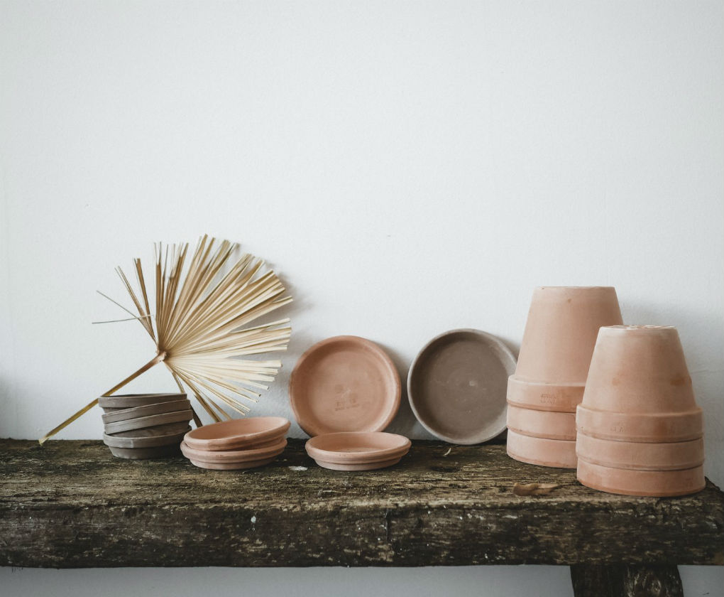 Pop up store de plantas en Sevilla