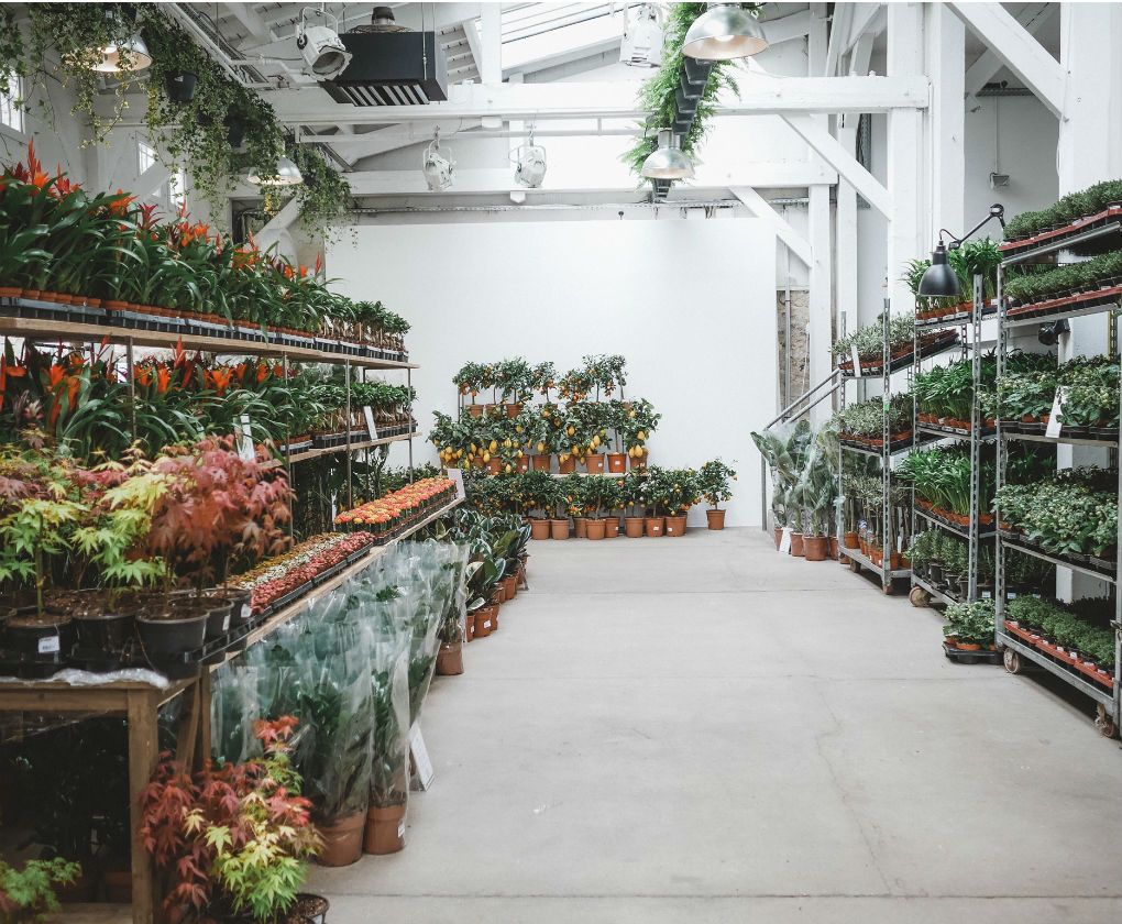 Pop up store de plantas en Sevilla
