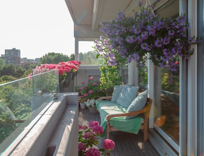 Seis plantas de exterior fáciles de cuidar para alegrar tu balcón o terraza