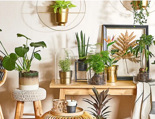 Cinco plantas artificiales perfectas para decorar el salón de tu casa o tu  oficina