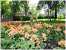 16/05/04. Madrid se engalana para la boda, miles de flores est�n siendo colocadas en toda la ciudad