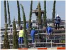 15/05/04. El Ayuntamiento de Madrid ha comenzado a instalar en la glorieta de Atocha los maceteros con los 192 cipreses y olivos que formar�n el -Bosque de los Ausentes- en memoria de los fallecidos en los atentados del 11-M y que ser� contemplado por la pareja de novios el d�a de su boda