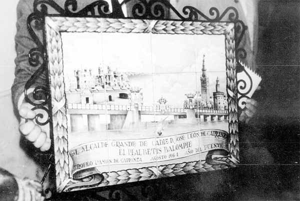 Web2.jpg (64989 bytes)