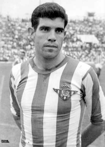 Web6.jpg (35564 bytes)