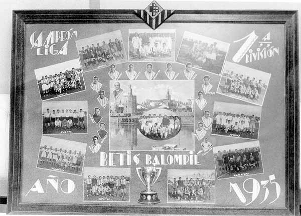 Web8.jpg (82135 bytes)