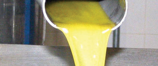 En la imagen, un arrozal