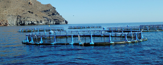 En la imagen, un criadero de peces en la costa de Almer&iacute;a