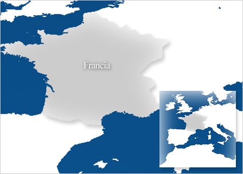 El mundo ante el virus de la gripe A | Mapa de Francia