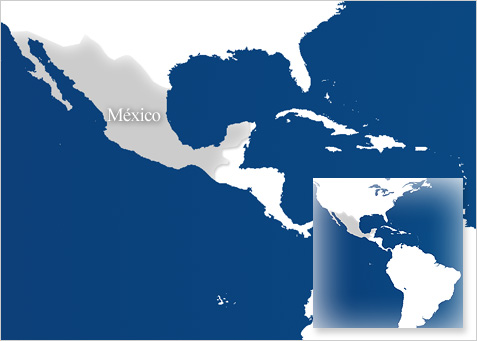 El mundo ante el virus de la gripe A | Mapa de México