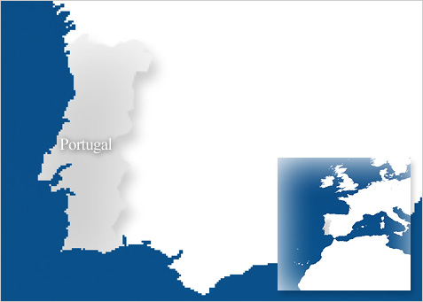 El mundo ante el virus de la gripe A | Mapa de Portugal