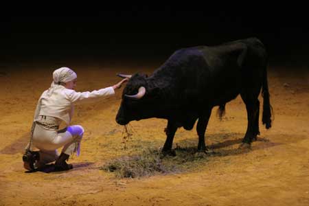 La undcima edicin de la Feria Mundial ha sido un xito