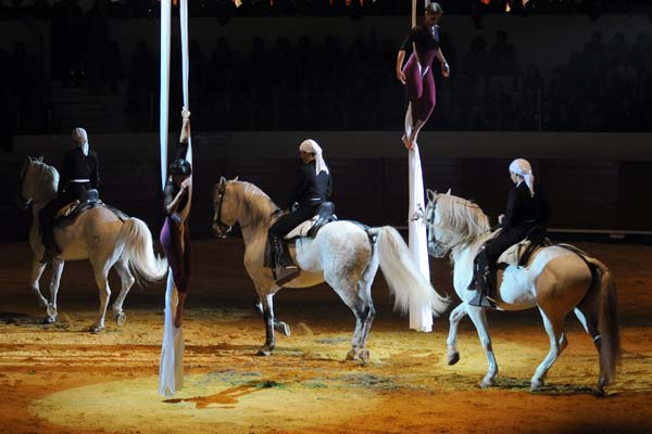 El espect�culo, con mujeres descolg�ndose por largas telas, no dej� indiferente al p�blico asistente