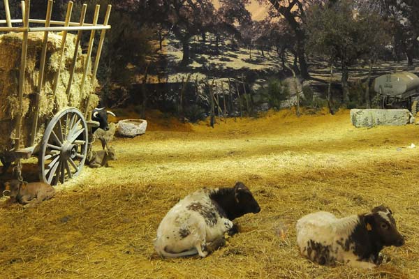 Simulacin del campo en Fibes