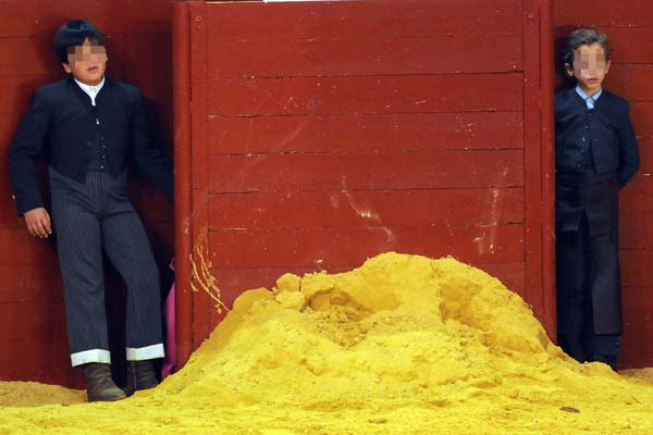 Nios, espectadores y protagonistas