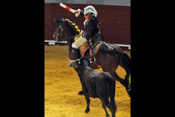 El caballo y el jinete esquivan al toro con maestr�a
