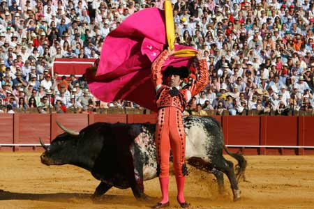 El animal sucumbe ante el torero