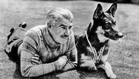 Los 10 perros más queridos de la ficción televisiva