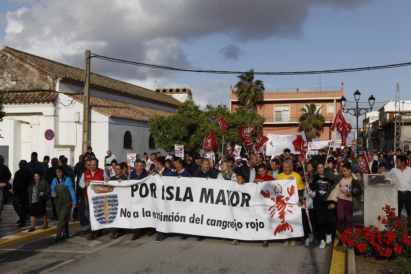 Beltrán Ceballos: «El cangrejo rojo es elemental para el estuario del Guadalquivir»
