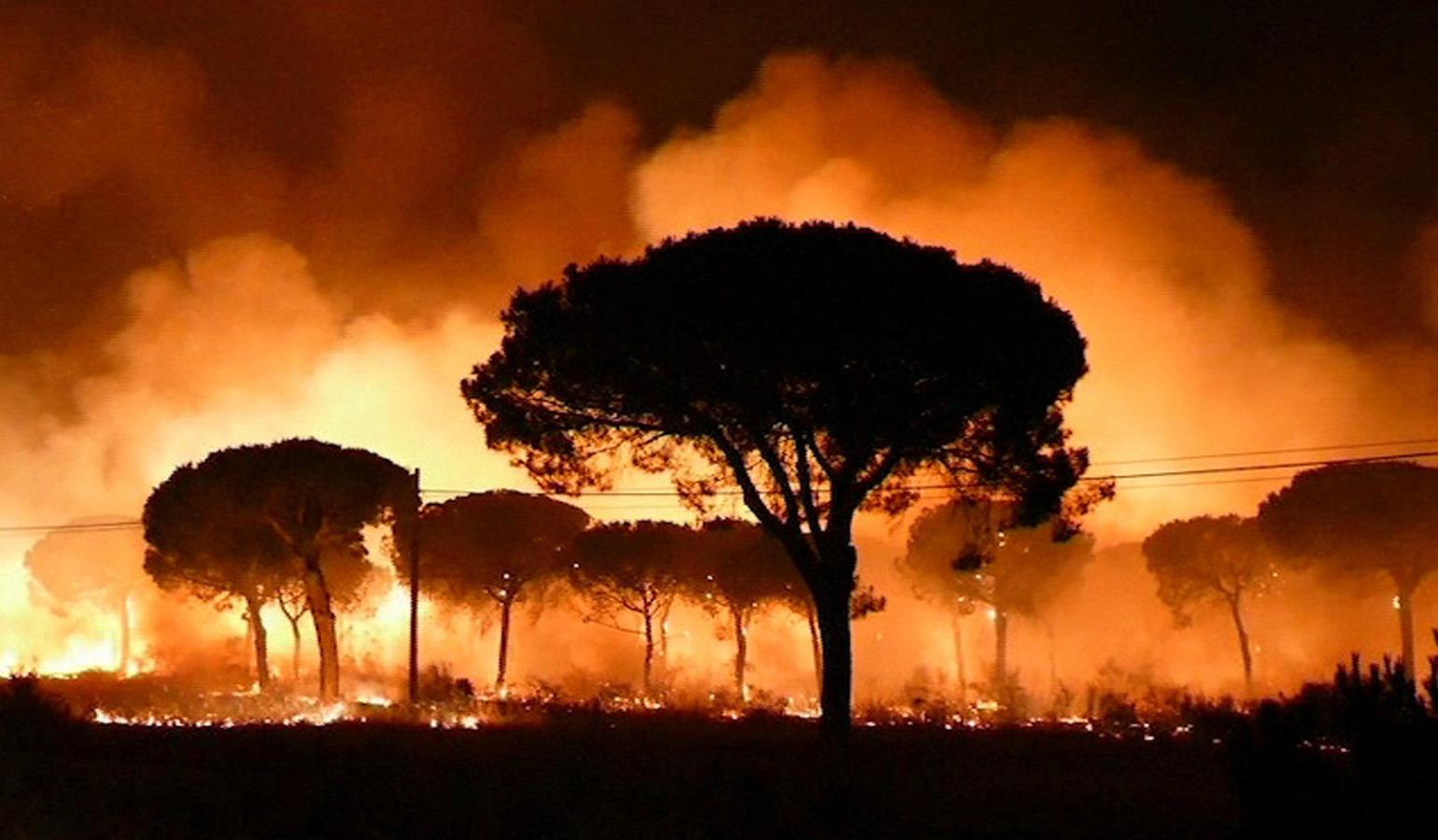 Evacuadas más de dos mil personas tras el incendio forestal declarado en el entorno del Parque de Doñana