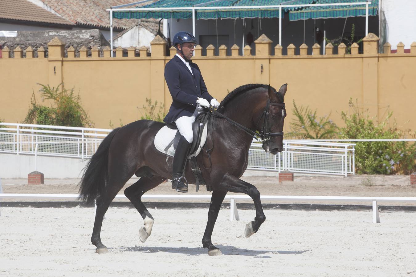 Culmina con éxito la prueba de doma que avala el potencial de Córdoba