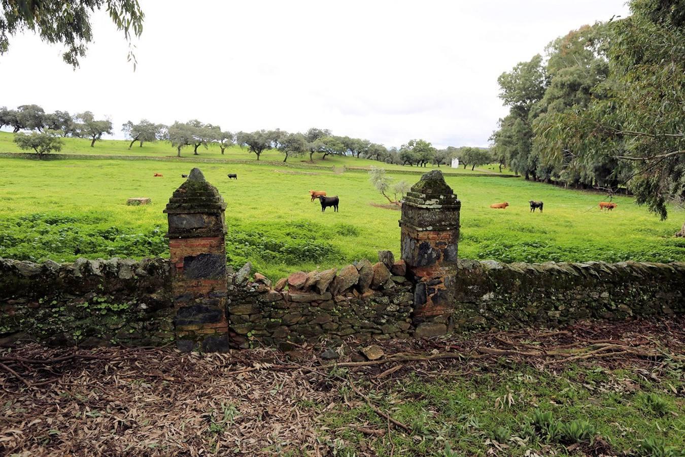 El empresario José Moya compra la finca del marqués de Aracena para su ganadería brava