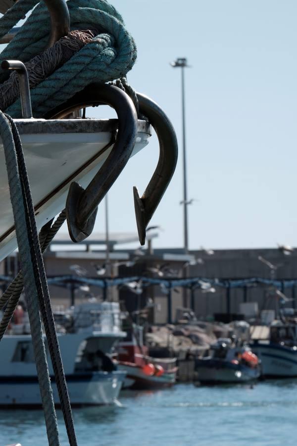 El «templo del atún» no saldrá por ahora de Barbate y Zahara