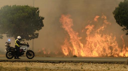 Alrededores de Mazagón