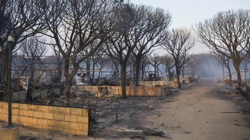 Instalaciones del Camping Doñana totalmente calcinadas