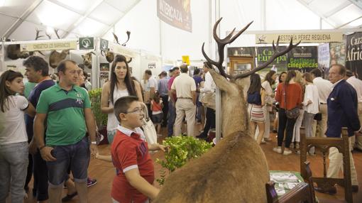 Visitantes en los distintos expositores de la feria