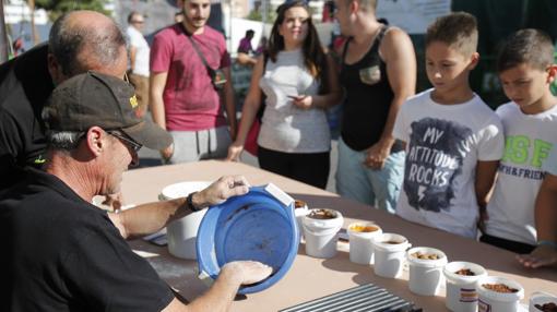 Participantes de Intercaza de pasadas ediciones