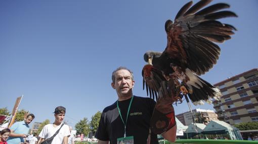 Exhibición de cetrería en una de las ediciones de Intercaza