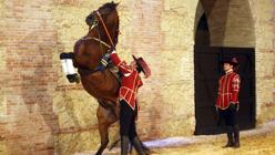 Preparativos antes del espectáculo