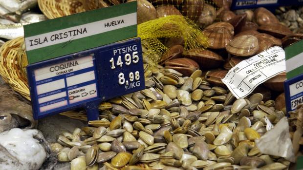 El marisqueo de coquinas y de chirlas está prohibido