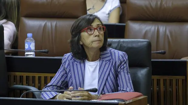 Rosa Aguilar, consejera de Justicia e Interior, preside el patronato de la FundaciÃ³n Mediara