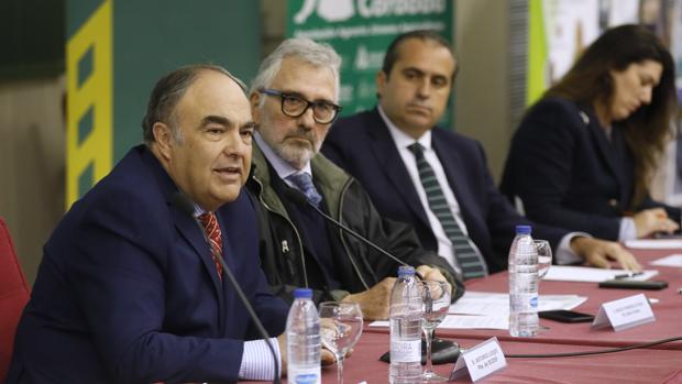 Antonio Luque, presidente de Dcoop, en la Jornada Técnica del Olivar de Asaja