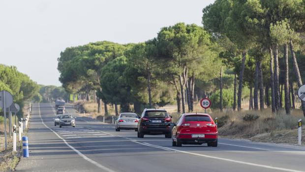 Vehículos circulan por la A483