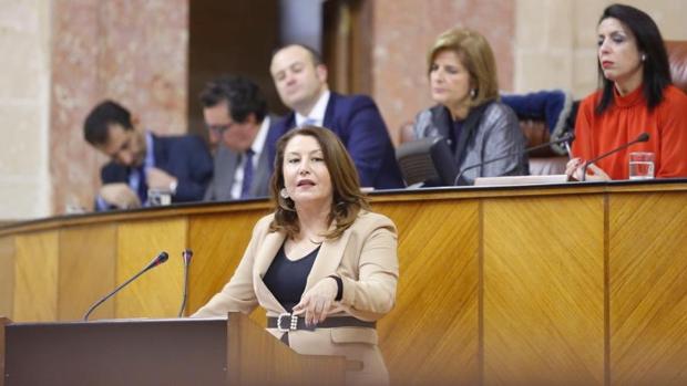 La portavoz parlamentaria del PP, hoy durante la sesión de investidura